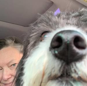 Meet your Posher, Heidi